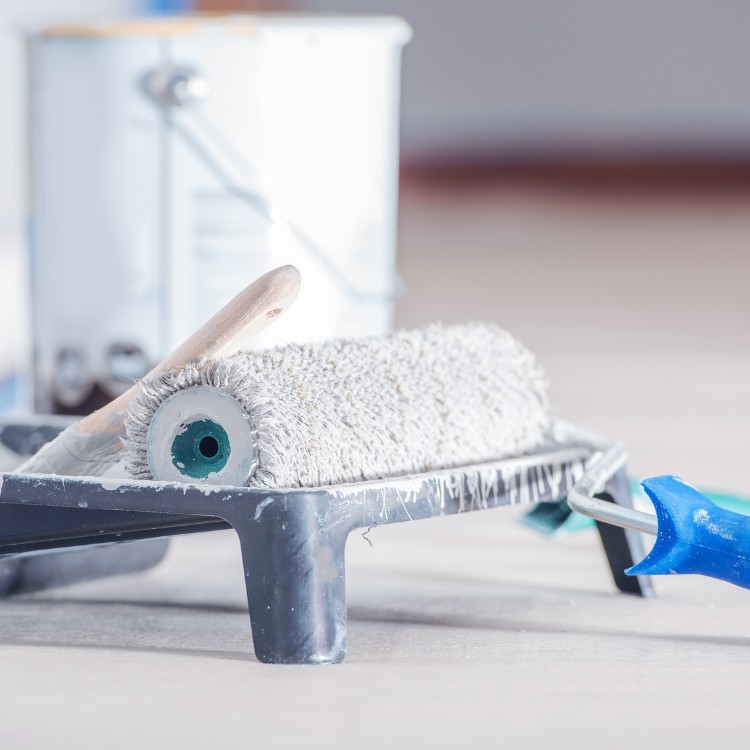 Professional Painting services in St. Petersburg, FL