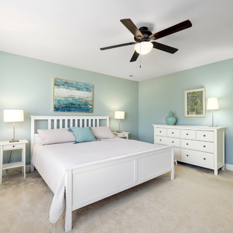 Professional Painting services in St. Petersburg, FL