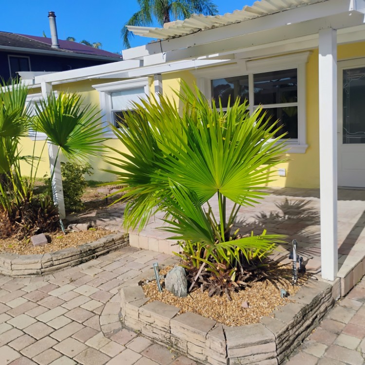 Professional Painting services in St. Petersburg, FL