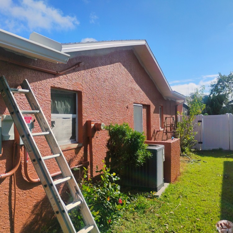 Professional Painting services in St. Petersburg, FL